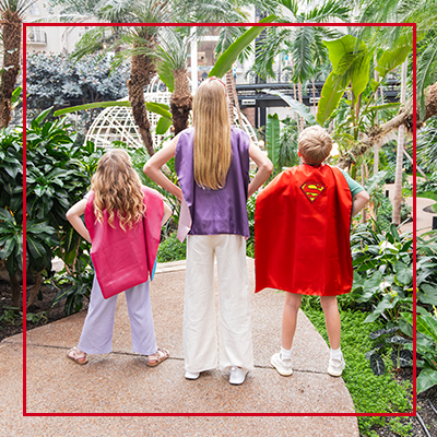 DC Summer at Gaylord Opryland
