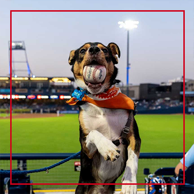 Nashville Sounds Promotions