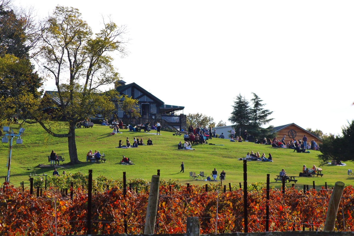 10 Fall Music Events in Nashville