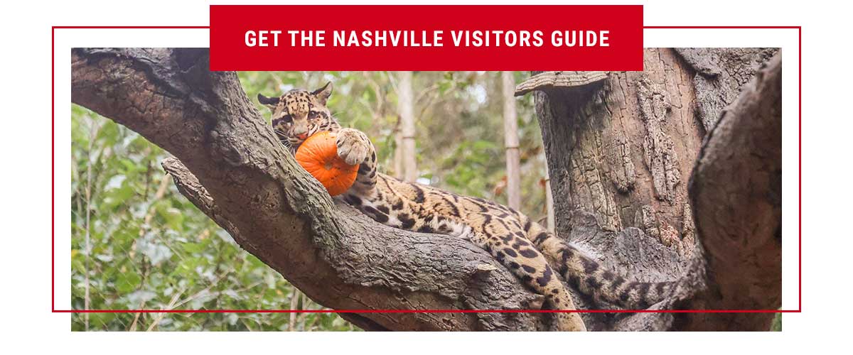 Nashville Visitors Guide