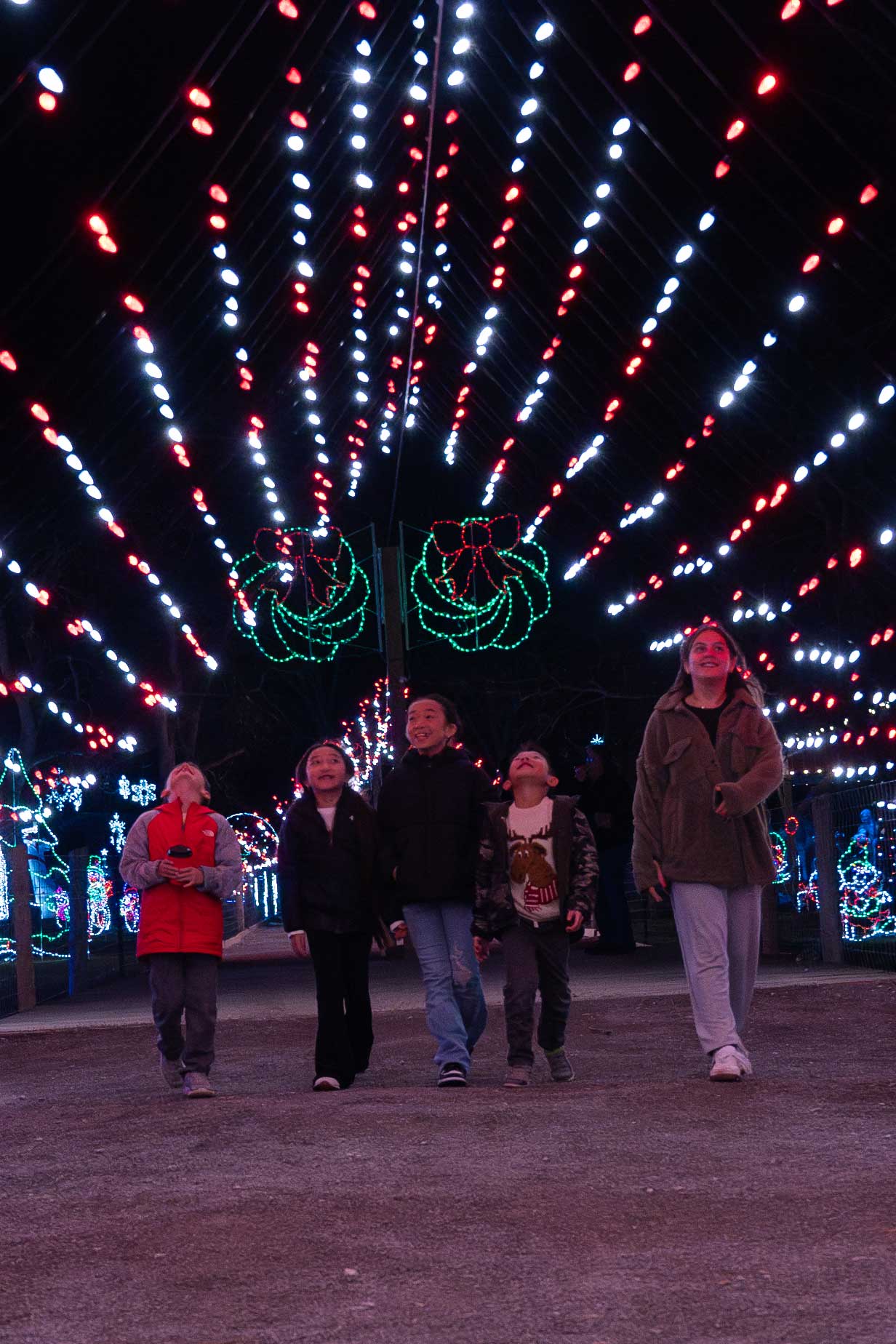 Holly Jolly Lights at Lucky Ladd Savings