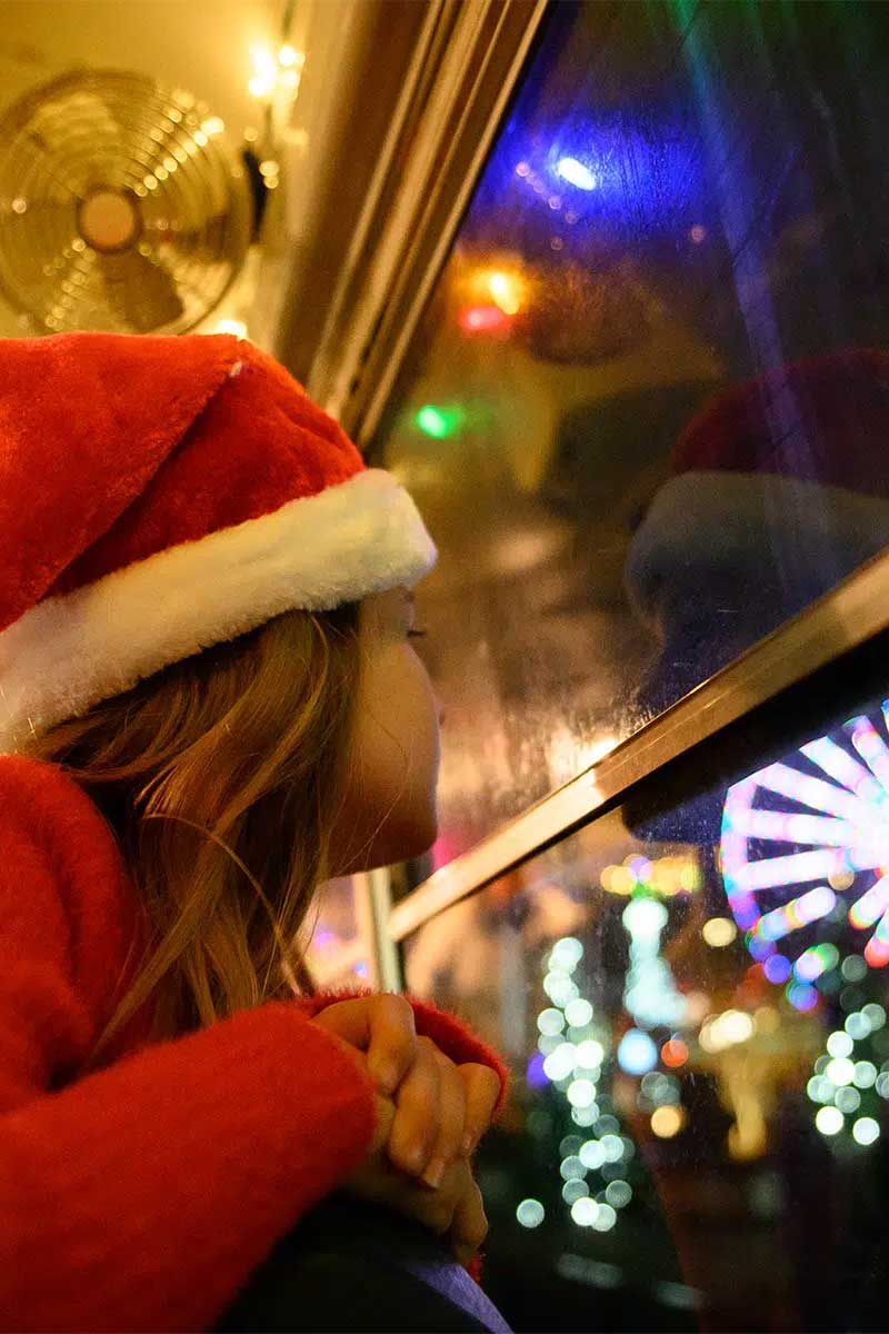 Nashville Christmas Lights Tour Savings