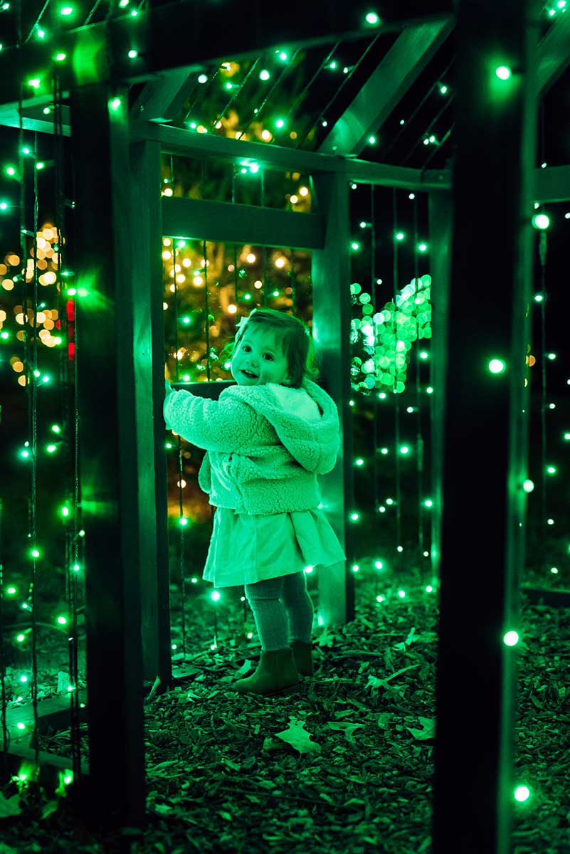 Holiday Events & Happenings