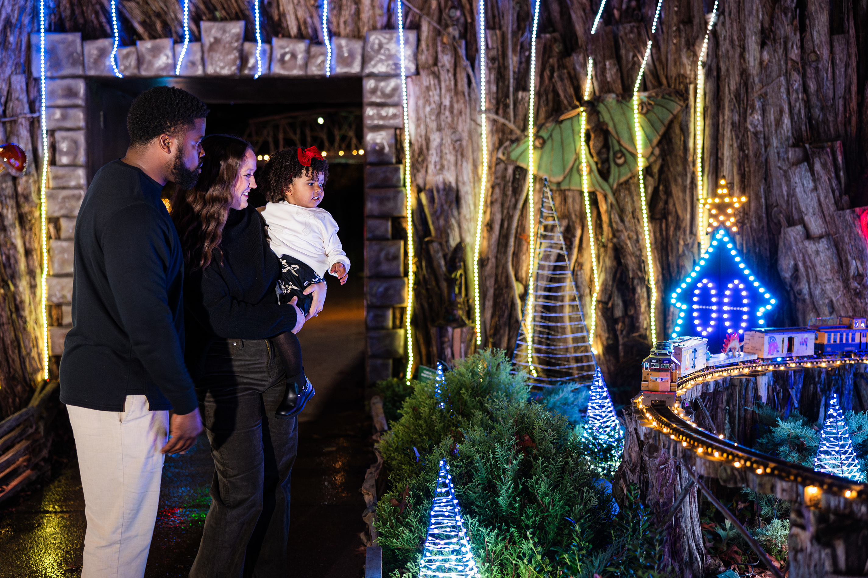 Nashville's Holiday Events & Happenings
