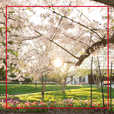 Cheekwood in Bloom