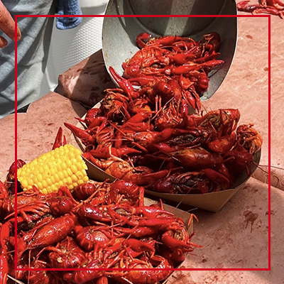Nashville Crawfish Festival