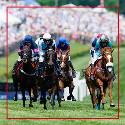 Iroquois Steeplechase