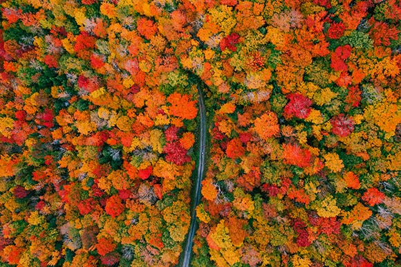 an aerial view of a road cutting through fall foliage