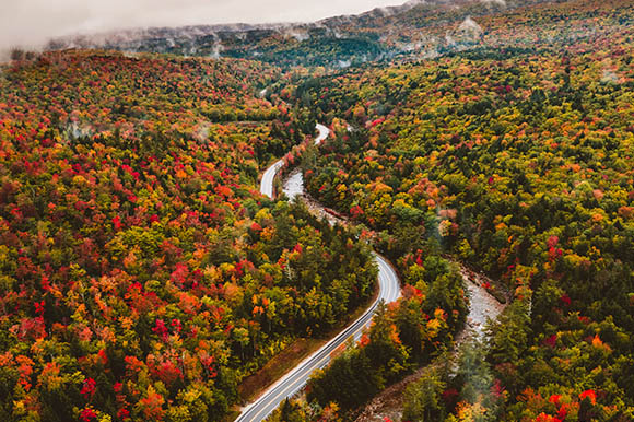 an aerial view of a road cutting through foliage