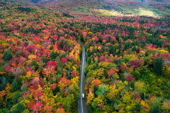 a road cutting through fall color