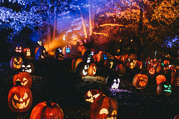 pumpkins lit up in a field at night
