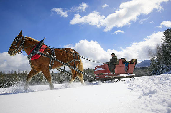 a horse drawn sleigh ride