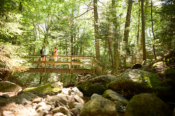 a couple on a bridge on a hike in the woods