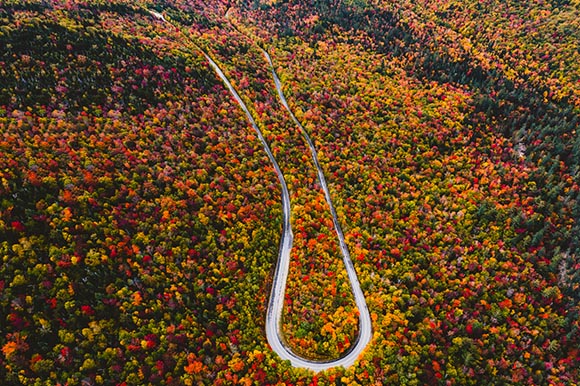 aerial view of fall foliage and a curved road