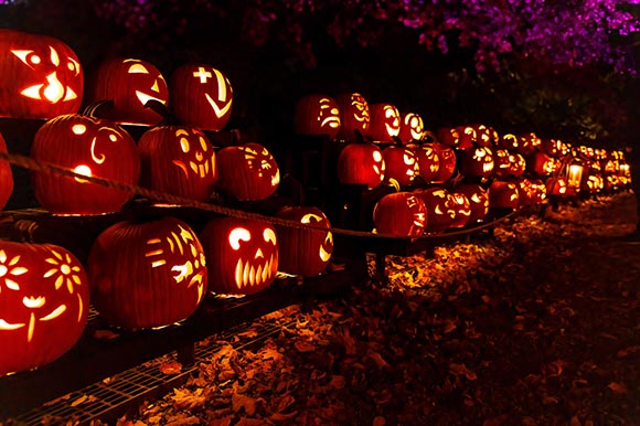 a row of jack o'lanterns lit up at night