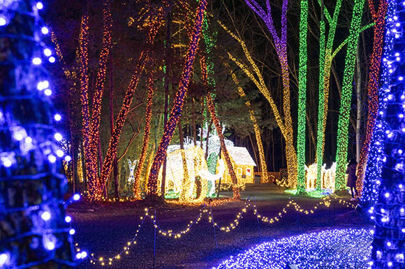 a path with light covered trees and lit up animals