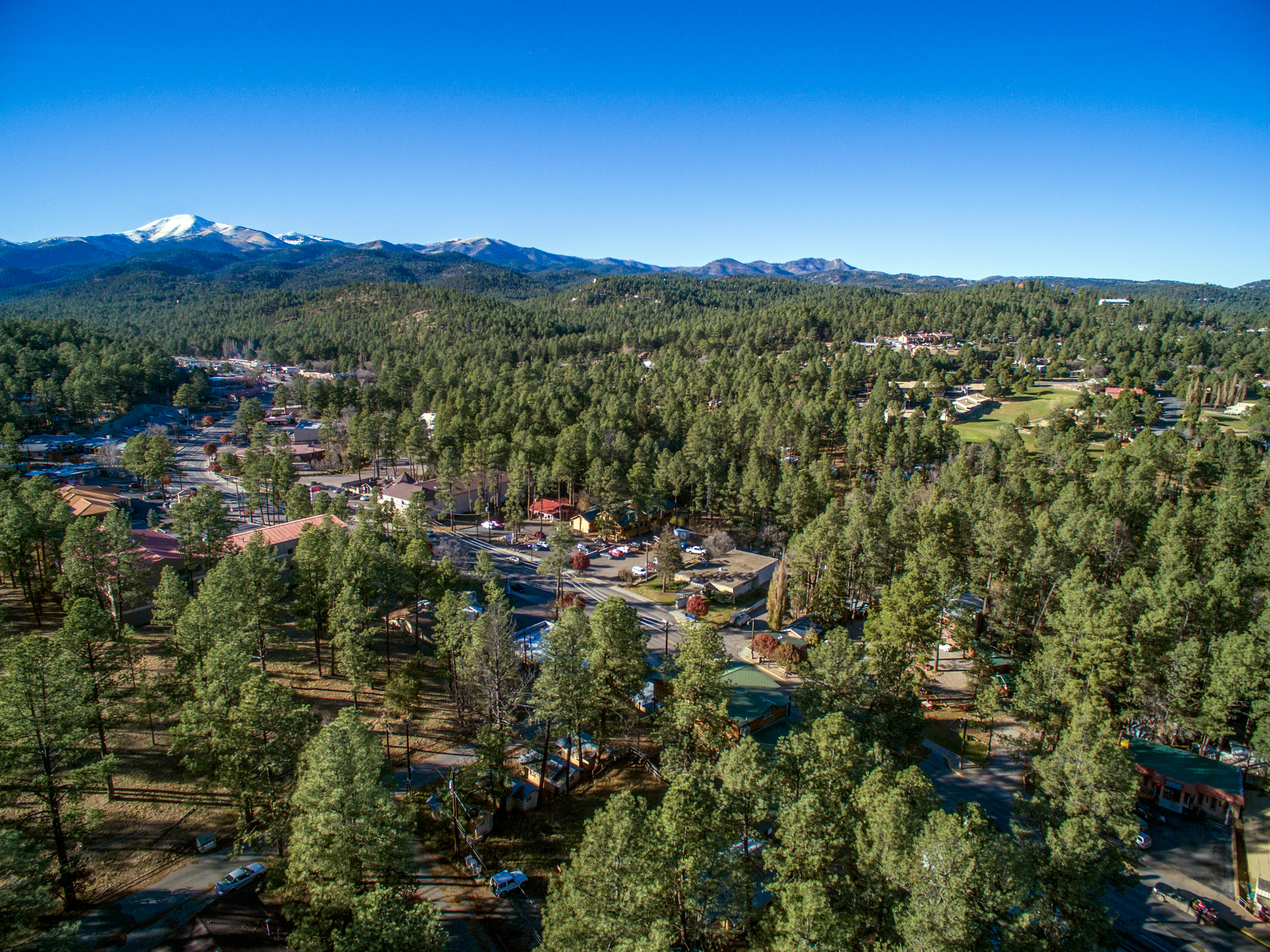 an aerial view of a small town in the midst of a green forest, with a snow-capped mountain in the distance