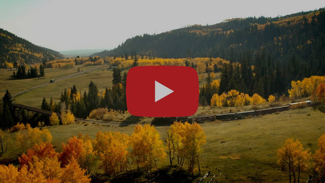 a steam locomotive travels through golden trees on a hillside