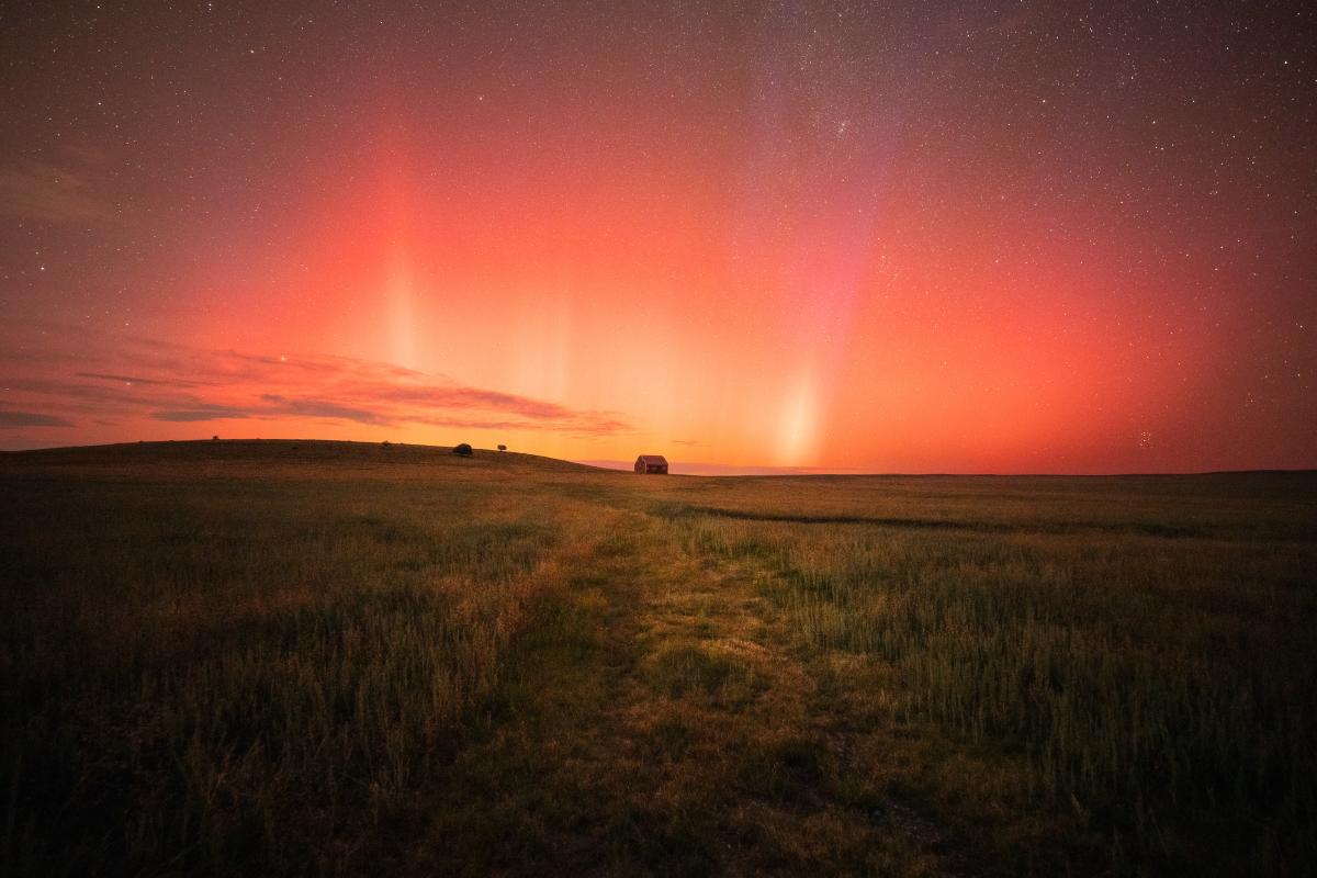 A stunning view of the Aurora Borealis over a vast prairie with a small structure and sparse trees under a starlit sky.