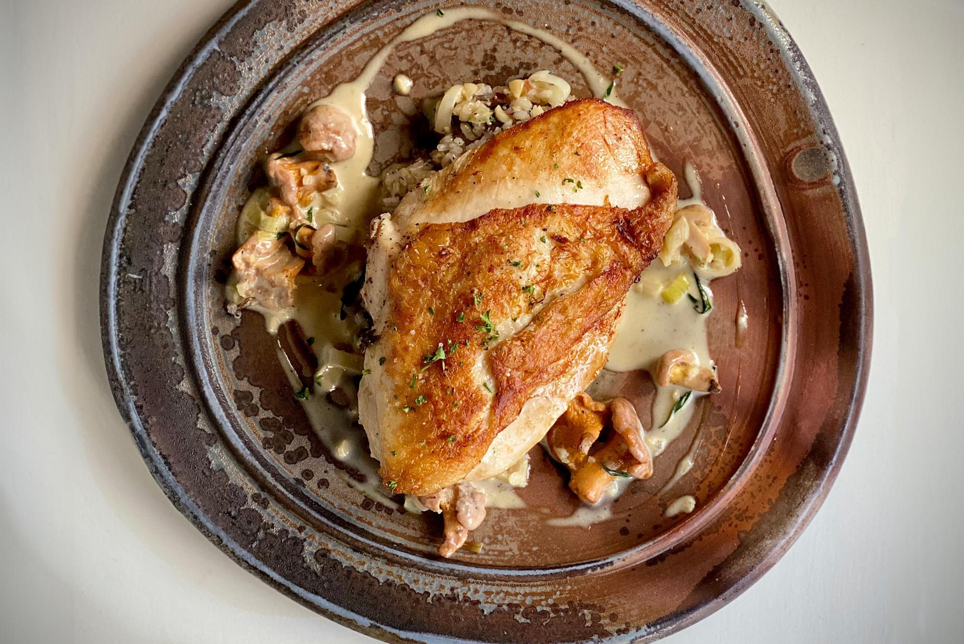 Grilled chicken breast served with creamy sauce on a rustic ceramic plate.