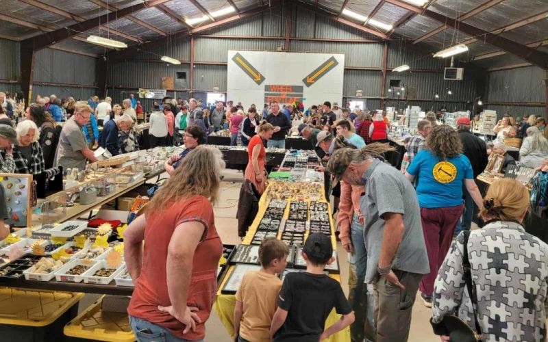 Image of a bustling indoor market with various stalls displaying goods and several people browsing items.