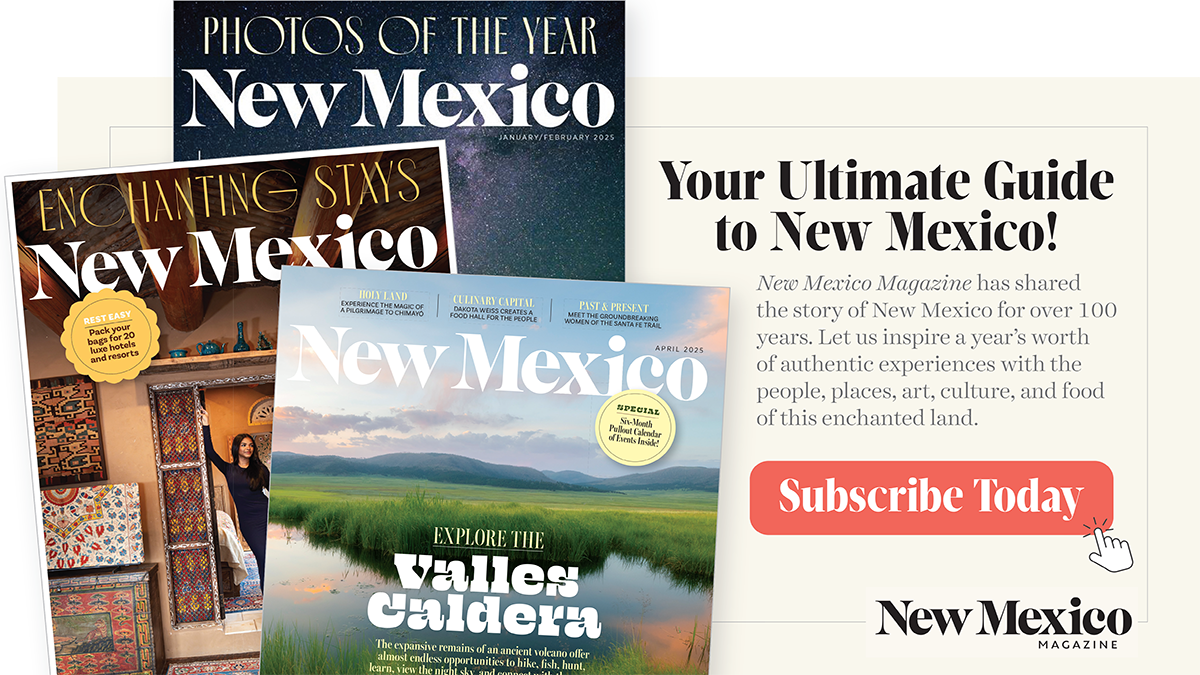 Promotional advertisement for New Mexico Magazine featuring various cover pages and an invitation to subscribe, with text describing the magazine as a guide to the stories, culture, and landscapes of New Mexico.