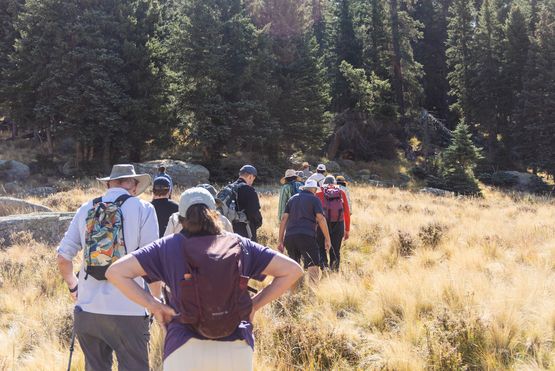 Group of hikers walking through a grassy field in a forested area under a clear sky.