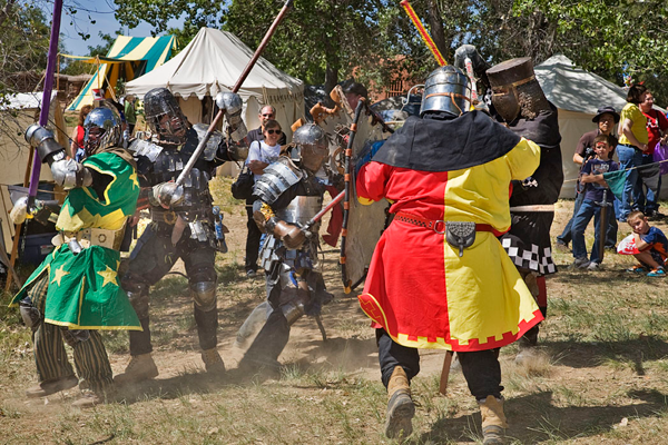 a large group of people dressed in medieval armor and colors participate in hand to hand combat
