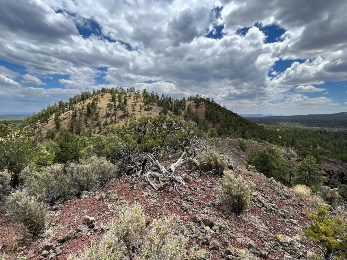 A view of forested lands from the top of a dormant volcano, also covered in trees and shrubs.