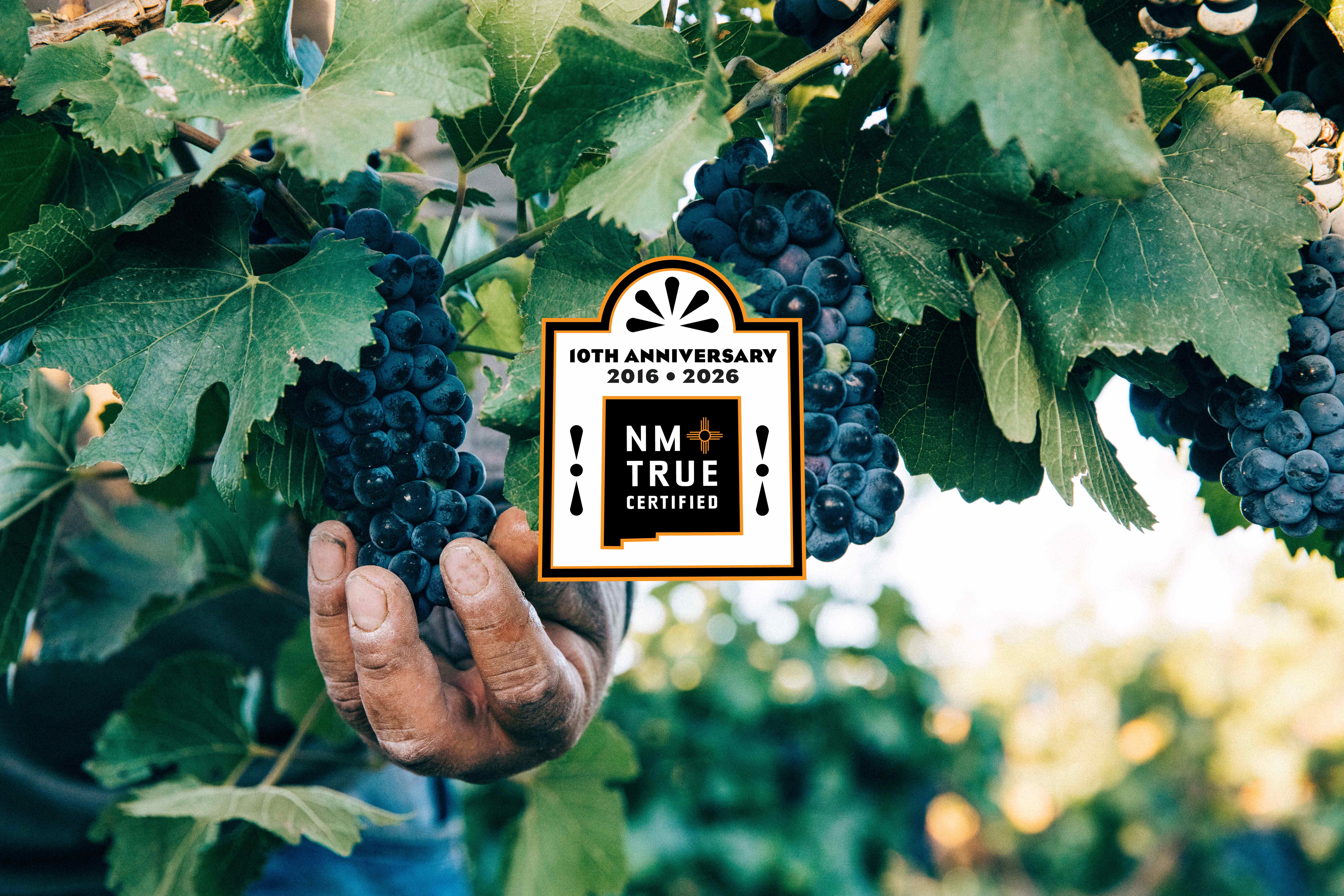 A hand holding a bunch of ripe grapes on the vine, with lush leaves surrounding them. In the foreground, there's a logo for "NM True Certified" celebrating a 10th anniversary from 2016 to 2026.