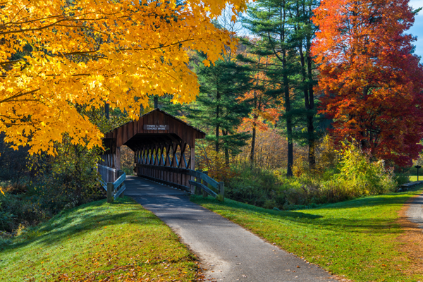 Fall Foliage