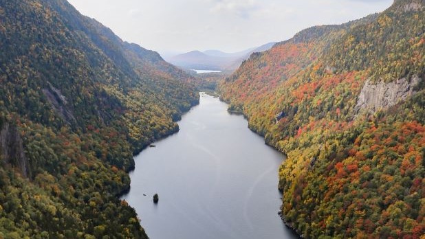 Fall Foliage
