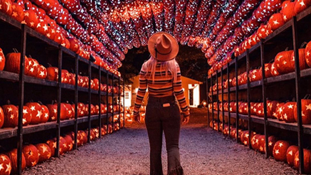 Great Jack O’Lantern Blaze 