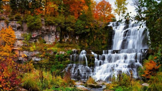 Fall Foliage