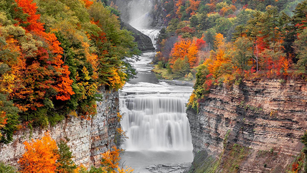Fall Foliage