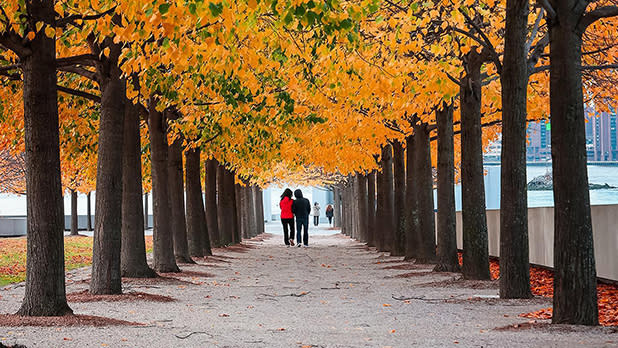 Roosevelt Island