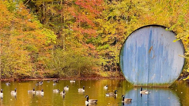 Nassau County Museum of Art  