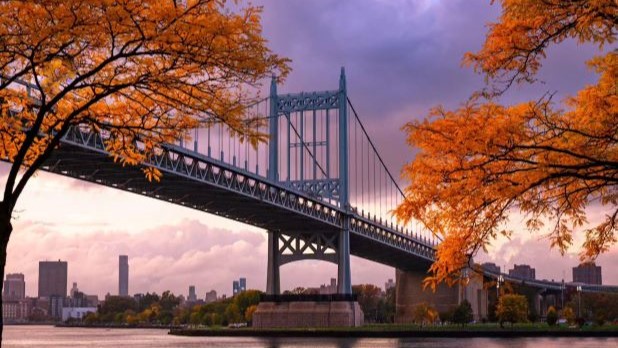 Fall Foliage