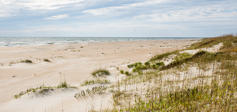 Dunes, beach and ocean at Fort Macon Beach State Park. 