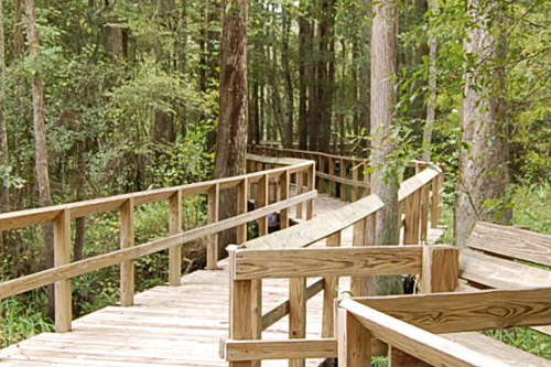Wooden walkway at Moores Creek.  