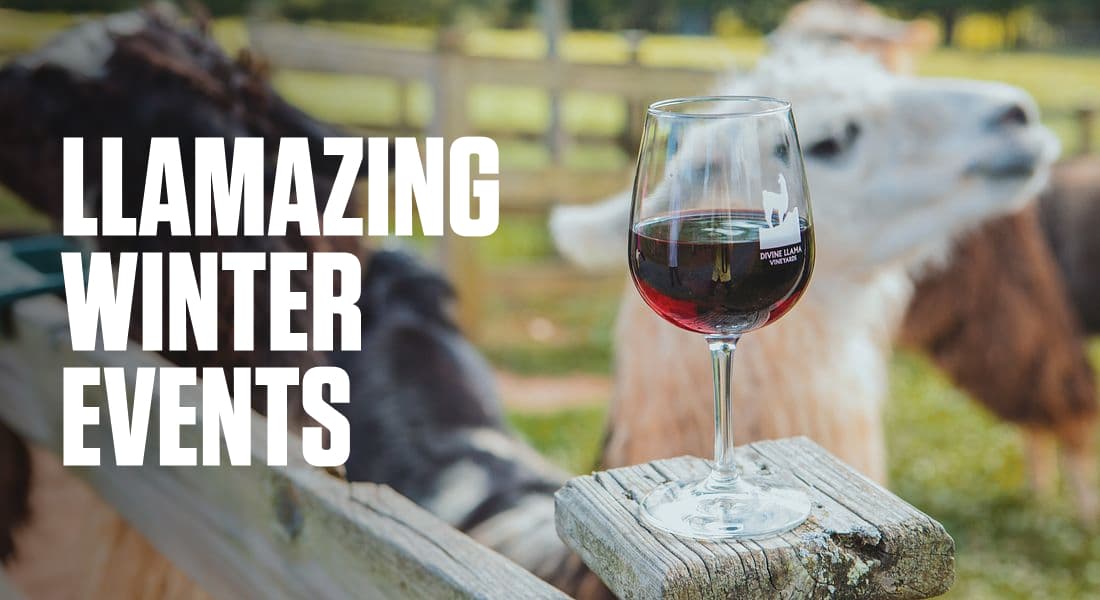 LLAMAZING WINTER EVENTS - Divine Llama Vineyards East Bend Wine Glass on Post with Llamas in Background
