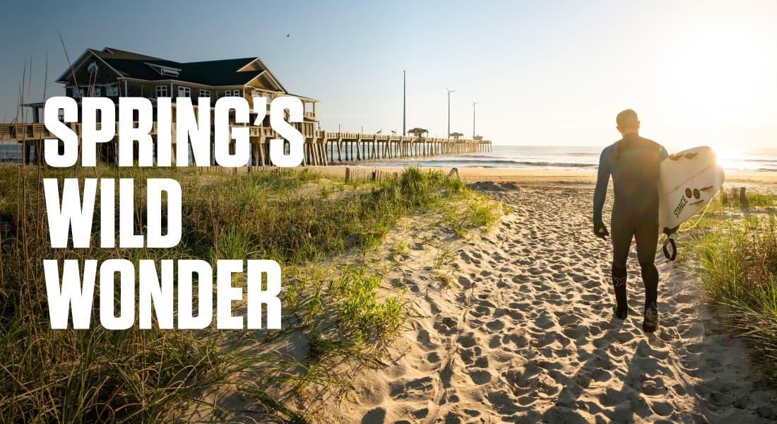 SPRING'S WILD WONDER - Man Walking to the Ocean With Surfboard by Nags Head Pier