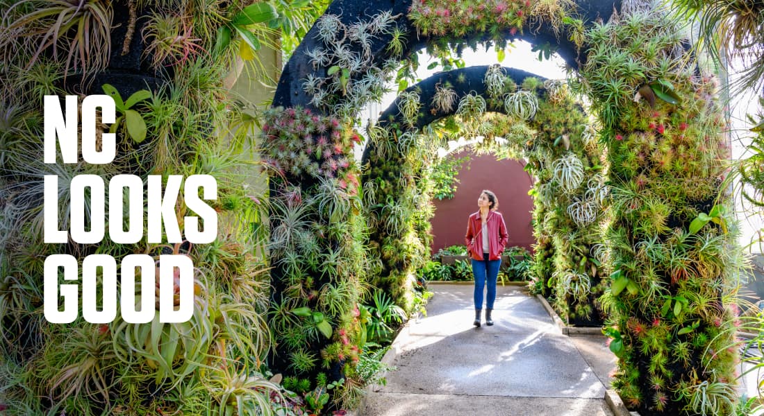 NC LOOKS GOOD - Woman observing foliage at the Daniel Stowe Botanical Garden Orchid Conservatory Arches