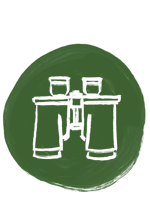 Compass Illustration