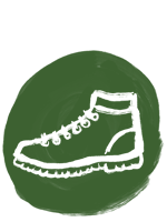 Compass Illustration