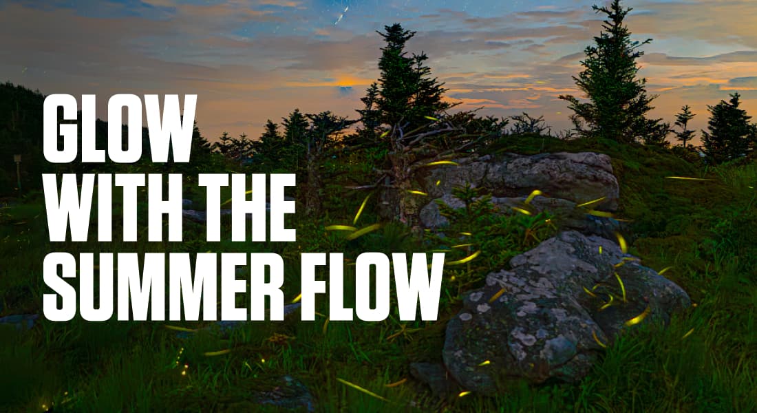 GLOW WITH THE SUMMER FLOW - Grandfather Glows event at Grandfather mountain In late June at night. 12 different species of light bugs live on Grandfather mountain. photos show the fireflies over short periods of time.