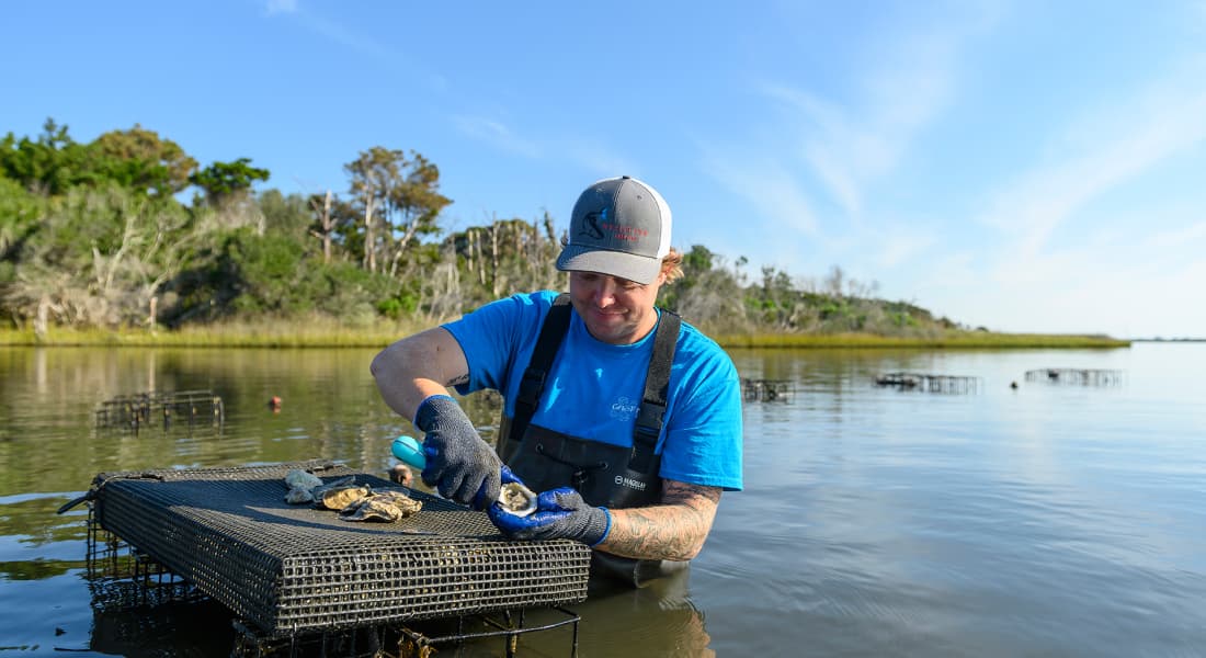 Ghost Fleet oyster farmer examining floating oyster bed