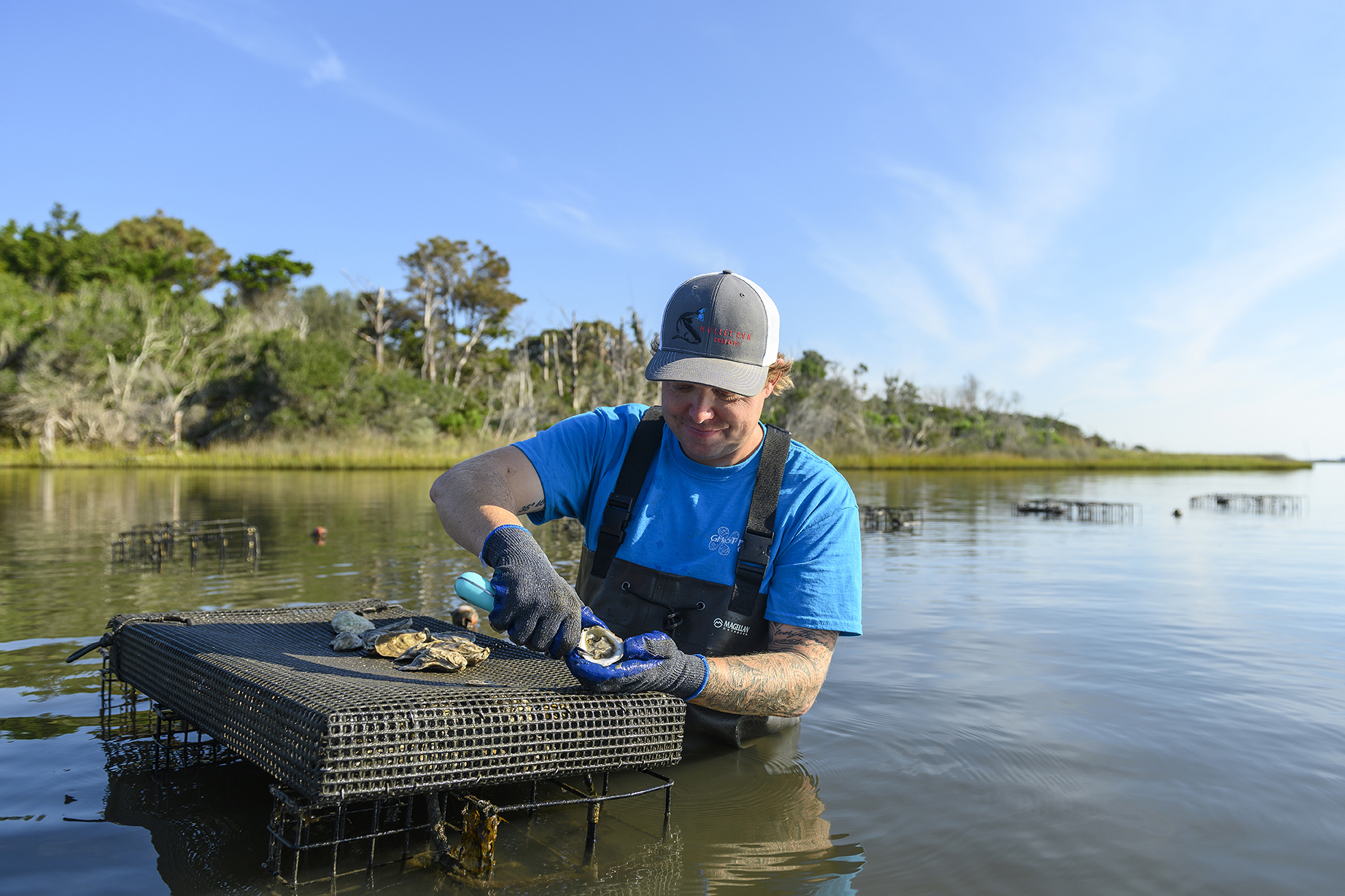 A man shucks oysters in the water off the coast of Onslow County.
