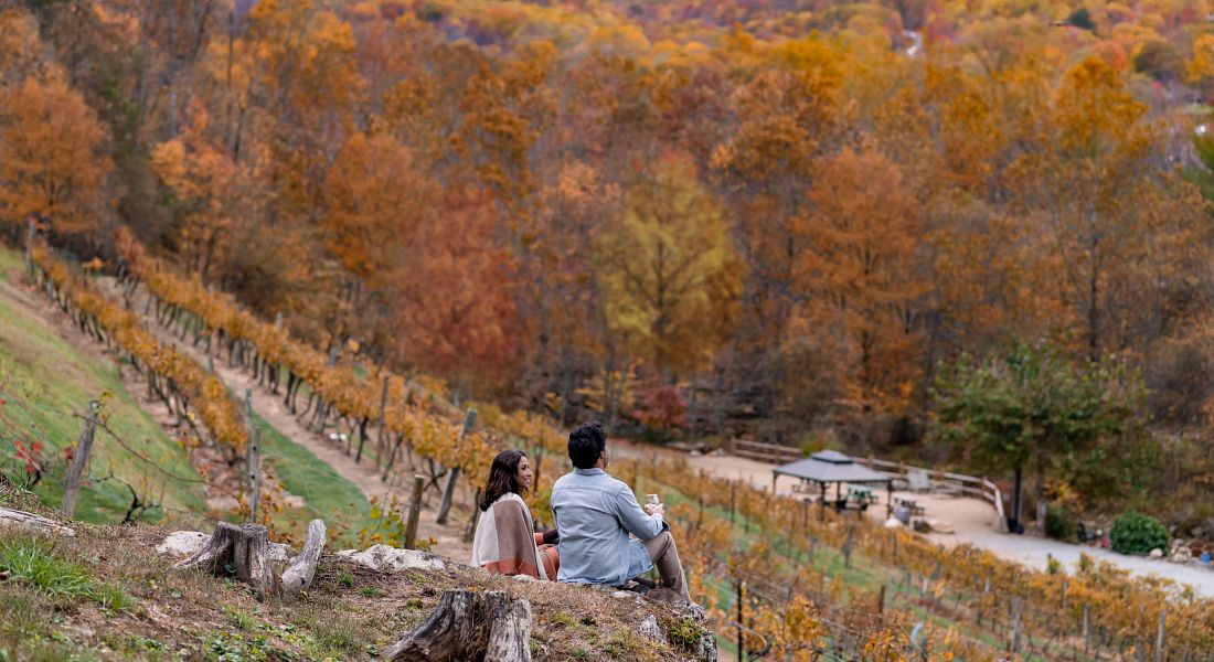 Grandfather Vineyard & Winery, Banner Elk, NC