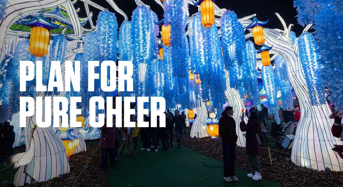 PLAN FOR PURE CHEER - Chinese lantern festival, Cary NC